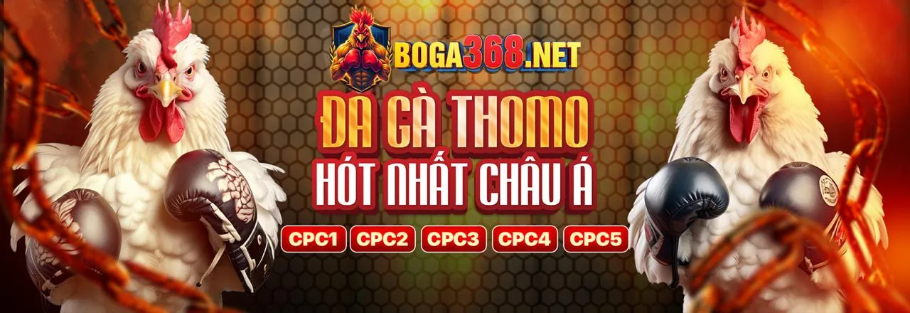 Trận đấu đá gà kịch tính tại 188bey link vào